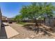 Spacious backyard featuring trees, a shed, and landscaping at 5436 E Aspen E Ave, Mesa, AZ 85206