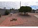 Large backyard featuring a fire pit and lots of trees at 5720 E University Dr, Mesa, AZ 85205
