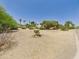 Expansive front yard featuring desert landscaping with a variety of native plants and trees along the road at 5905 E Donna Ln, Paradise Valley, AZ 85253