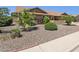 View of the front yard showing rock cover, a palm tree and well maintained shrubbery at 6546 E Dallas St, Mesa, AZ 85205