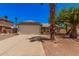 Charming single-story home featuring a well-maintained lawn, mature trees, and a two-car garage at 7426 W Cholla St, Peoria, AZ 85345