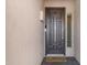 A beautifully decorated front door with a modern light fixture, and dark hardware at 12118 W Dove Wing Way, Peoria, AZ 85383