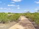 A scenic walking path through native vegetation at 12118 W Dove Wing Way, Peoria, AZ 85383