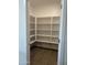 Walk-in pantry offering ample shelving space for organized storage at 18374 W Poston Dr, Surprise, AZ 85387