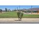Community playground featuring play structures, walking paths, and a grassy hill at 20756 N 224Th Ave, Surprise, AZ 85387