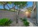 Cozy backyard landscaping featuring mature shade trees with a brick border and a low block wall with sun flair at 22847 N 53Rd E St, Phoenix, AZ 85054