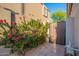 Charming patio area with flowering shrubs, gate and pavers that enhance the outdoor living space at 22847 N 53Rd E St, Phoenix, AZ 85054