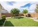 Manicured backyard with lush artificial turf, desert landscaping, and privacy walls at 24226 N 22Nd St, Phoenix, AZ 85024