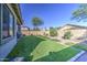 Expansive artificial turf backyard with desert landscaping and covered patio, ideal for outdoor living at 25659 W Forest Grove Ave, Buckeye, AZ 85326