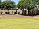Green lawn with a block fence and some trees in the background at 4117 W Allen St, Laveen, AZ 85339
