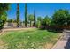 Lush backyard featuring a large lawn, mature trees, brick pavers, and high privacy fence at 5952 E Phelps Rd, Scottsdale, AZ 85254