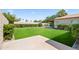 Well-maintained backyard with green lawn, mature trees, privacy fence, and potential for outdoor enjoyment at 6819 N 10Th Pl, Phoenix, AZ 85014