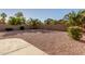 Spacious backyard with desert landscaping, block fence and mature palms at 80 W Grey Stone St, San Tan Valley, AZ 85143