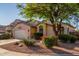 Attractive single-story residence with a well-kept lawn and desert landscaping for easy maintenance at 80 W Grey Stone St, San Tan Valley, AZ 85143