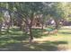 This is a common area with a seating area surrounded by mature trees and green grass at 8700 E Mountain View Rd # 2029, Scottsdale, AZ 85258