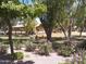 Landscaped community green space with lounge chairs beneath mature trees at 8700 E Mountain View Rd # 2029, Scottsdale, AZ 85258