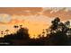 Scenic view of the sunset sky with palm trees silhouetted against a bright, orange backdrop at 8700 E Mountain View Rd # 2029, Scottsdale, AZ 85258