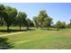 Lush green grass on community grounds with mature trees and walking paths at 9115 N 101St Way, Scottsdale, AZ 85258