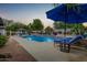 Sparkling pool with new pebble-tec surface, a sunshade and beautiful landscaping at 10662 E Carol Ave, Scottsdale, AZ 85258