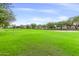 Expansive community green space with playground, basketball court, and open field at 10718 E Vivid Ave, Mesa, AZ 85212