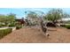 Playground area with a modern jungle gym surrounded by woodchips and landscaping at 10718 E Vivid Ave, Mesa, AZ 85212
