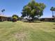 Expansive backyard with mature trees offering plenty of shade on a sunny day at 10721 W Mission Ln, Sun City, AZ 85351