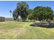 Lush backyard with mature trees providing shade, plus a well-kept lawn at 10721 W Mission Ln, Sun City, AZ 85351