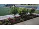 Landscaped front yard with flowerbeds and rose bushes adding curb appeal at 10721 W Mission Ln, Sun City, AZ 85351