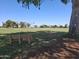 Scenic park view featuring a wooden bench, green grass, trees, and a clear blue sky at 10721 W Mission Ln, Sun City, AZ 85351