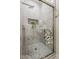 Bathroom tiled shower with glass door, rain shower head, built-in niche, and decorative towel at 13430 S Garnet Rd, Buckeye, AZ 85326
