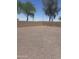 Fully fenced-in and private backyard offers ample space for outdoor activities and relaxation at 14038 N 162Nd Ln, Surprise, AZ 85379