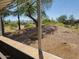 Back porch with a beautiful view of a neighborhood surrounded by desert landscaping at 17200 W Bell Rd # 1279, Surprise, AZ 85374