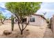 Well-maintained backyard with desert landscaping, mature trees, a covered patio, and a neutral-colored exterior at 18633 W Mcneil St, Goodyear, AZ 85338