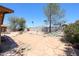 Spacious backyard with stone patio, desert landscaping, and mature trees at 4516 E Willow Ave, Phoenix, AZ 85032