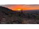 Vibrant desert sunset with silhouetted cacti overlooking the city lights at 8209 S 23Rd Pl, Phoenix, AZ 85042
