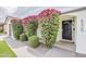 Inviting home exterior featuring lush bougainvillea, a black front door, and neat landscaping at 8320 E Monte Vista Rd, Scottsdale, AZ 85257
