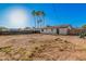 Large backyard with potential, showcasing mature palm trees and perimeter fencing at 11025 E Cholla Rd, Mesa, AZ 85207