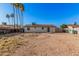 Spacious backyard showing mature palm trees and a partially fenced yard at 11025 E Cholla Rd, Mesa, AZ 85207