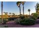 Beautiful backyard with lush plants and palm trees, creating a private and serene outdoor oasis at 13219 W Santa Ynez Dr, Sun City West, AZ 85375