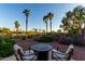 Tranquil backyard with a fire pit and seating, complemented by mature palm trees and lush greenery at 13219 W Santa Ynez Dr, Sun City West, AZ 85375