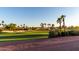 Scenic golf course view featuring tall palm trees and lush green grass at 13219 W Santa Ynez Dr, Sun City West, AZ 85375