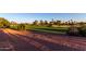 Lush golf course view with trees and manicured landscaping at 13219 W Santa Ynez Dr, Sun City West, AZ 85375
