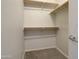 Walk-in closet with carpeted floor and shelving at 1335 E June St # 221, Mesa, AZ 85203