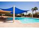 Stunning community pool with ample seating and shade, surrounded by swaying palm trees at 1364 W Spine Tree Ave, Queen Creek, AZ 85140