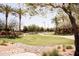 Lush green space featuring walking paths, mature trees, and landscaping at 1364 W Spine Tree Ave, Queen Creek, AZ 85140