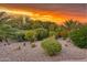 A sprawling backyard with a wide variety of desert landscaping, plants, and cacti at 15928 W Zinnia Ct, Surprise, AZ 85374