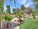 Lush backyard featuring an inground pool, well-manicured lawn, and diverse plants framed by palms and mature trees at 19506 N 73Rd Ave, Glendale, AZ 85308