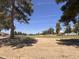 Scenic view of the lush green golf course with mature trees and a clear blue sky at 19506 N 73Rd Ave, Glendale, AZ 85308