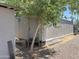 Mobile home exterior with a gray facade and a small tree in front with open gravel backyard at 2060 N Center St # 282, Mesa, AZ 85201