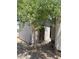 Exterior view of the home with a tree, offering privacy at 2060 N Center St # 282, Mesa, AZ 85201
